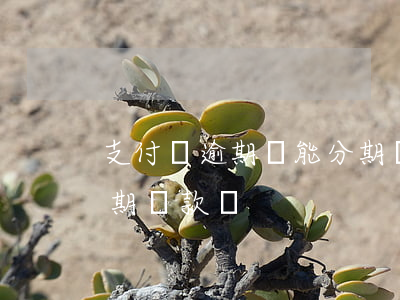 支付寶逾期還能分期嗎(支付寶逾期還款能分期還款嗎)