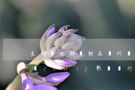 支付寶逾期還能在銀行貸款嗎（支付寶在逾期會(huì)影響銀行貸款嗎）