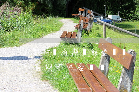 支付寶逾期還能坐飛機(jī)嗎（支付寶有逾期可以坐飛機(jī)么）