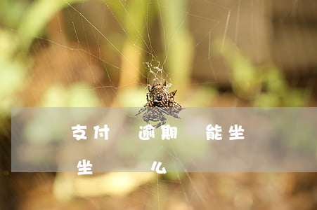 支付寶逾期還能坐飛機嗎（支付寶有逾期可以坐飛機么）