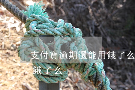 支付寶逾期還能用餓了么 支付寶逾期還能用餓了么
