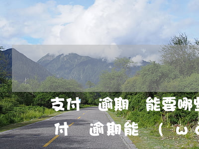 支付寶逾期還能要哪些網(wǎng)貸(支付寶逾期能網(wǎng)貸嗎)