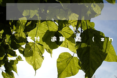 支付寶逾期還能轉(zhuǎn)賬嗎