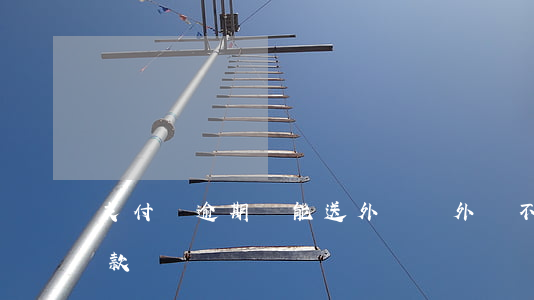 支付寶逾期還能送外賣嗎(外賣不能支付寶付款嗎)
