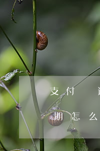 支付寶逾期還花唄怎么辦(我的支付寶花唄逾期怎么還款)