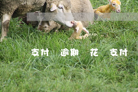支付寶逾期還花唄(支付寶逾期怎么還花唄)