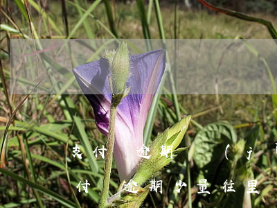 支付寶逾期還進(jìn)去能帶出來么(支付寶逾期少量往里還錢,還會上門嗎)