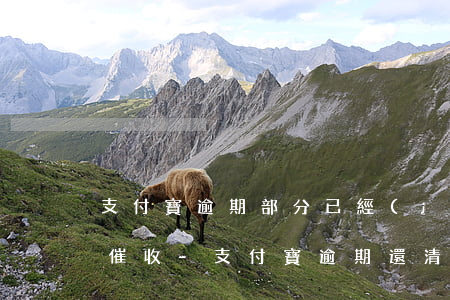 支付寶逾期部分已經(jīng)還清還被催收-支付寶逾期還清后被催款