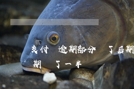 支付寶逾期部分還了 后期怎么還-支付寶逾期還了一半