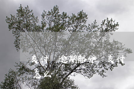 支付寶逾期部分還(支付寶逾期部分還了 后期怎么還)