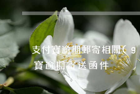 支付寶逾期郵寄相關(guān)函件（支付寶逾期寄送函件）