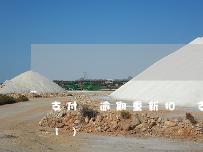 支付寶逾期重新扣錢(支付寶逾期扣費(fèi))