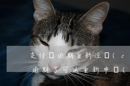 支付寶逾期重新注冊(cè)有用么(支付寶逾期了可以重新申請(qǐng)一個(gè)么)
