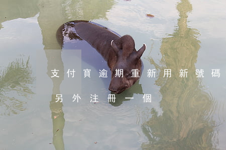支付寶逾期重新用新號碼注冊（支付寶逾期想另外注冊一個）