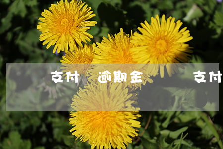 支付寶逾期金額兩萬 支付寶逾期一萬