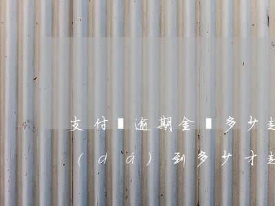 支付寶逾期金額多少起訴(支付寶逾期金額達(dá)到多少才起訴)