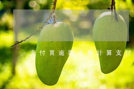 支付寶逾期金額計算(支付寶逾期金額計算)