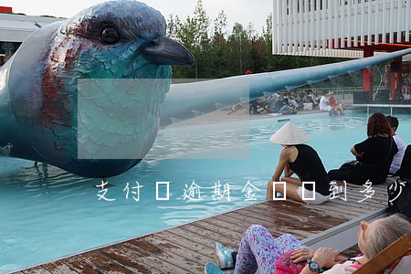 支付寶逾期金額達到多少會上門