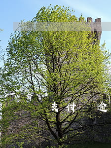支付寶逾期金額還了 支付寶逾期金額還了要