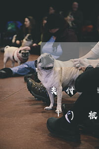 支付寶逾期銀行卡會(huì)不會(huì)被封-支付寶逾期會(huì)不會(huì)凍結(jié)銀行卡
