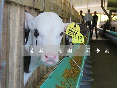 支付寶逾期銀行卡的錢會(huì)扣嗎