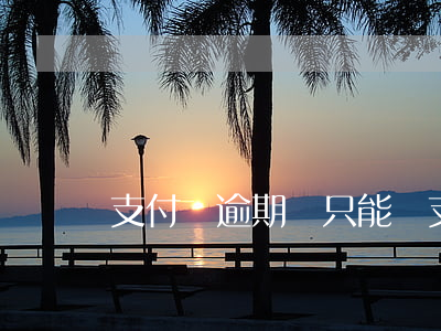 支付寶逾期錢只能進(支付寶逾期還能收錢么)