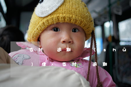 支付寶逾期錢數(shù)增加規(guī)律-支付寶逾期會產(chǎn)生多少費用