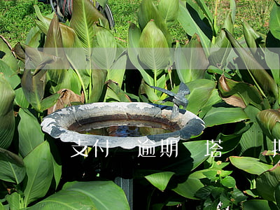 支付寶逾期鐵塔換電押金怎么退-