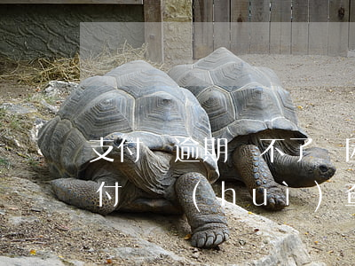 支付寶逾期開不了貧困證明(假的貧困證明支付寶會(huì)查嗎)