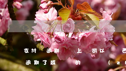 支付寶逾期閑魚上還可以賣東西嗎-支付寶逾期了咸魚賣的錢會轉(zhuǎn)走嗎