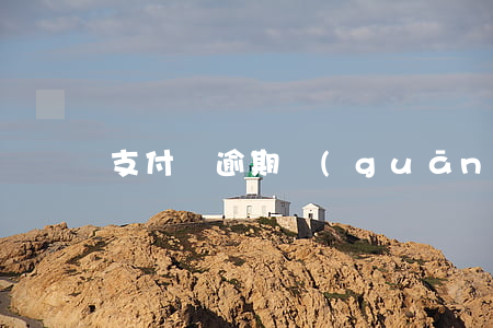 支付寶逾期關(guān)了開不了