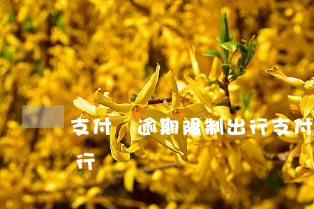 支付寶逾期限制出行(支付寶怎么申請限行出行)