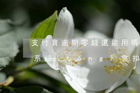 支付寶逾期零錢還能用嗎（支付寶逾期零花錢系統(tǒng)會扣嗎）