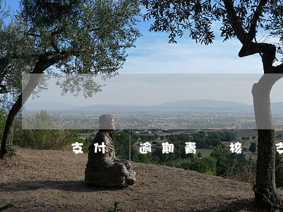 支付寶逾期青島核實(支付寶逾期立案)