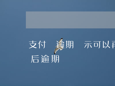支付寶逾期顯示可以再分期了(支付寶再分期后逾期)
