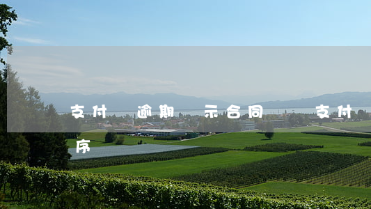 支付寶逾期顯示合同違約 支付寶逾期合同程序