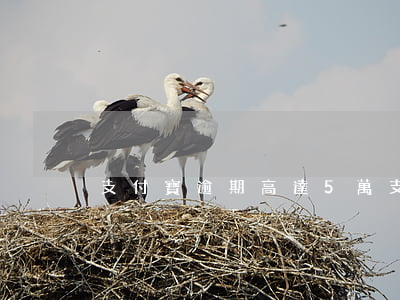 支付寶逾期高達5萬(支付寶5萬逾期后果)