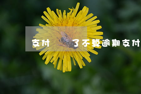 支付寶還了不算逾期 支付寶逾期不還款