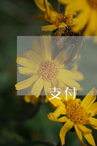 支付寶還了最低還款后會算逾期嗎
