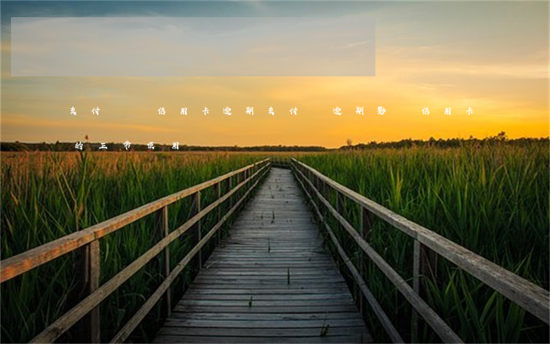支付寶還信用卡逾期(支付寶逾期影響信用卡的正常使用嗎?)