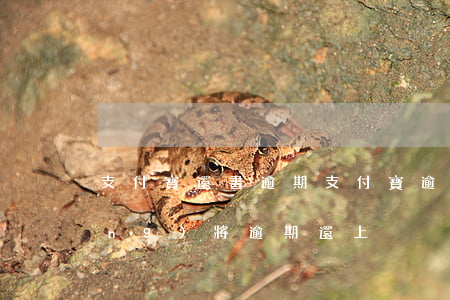 支付寶還書逾期(支付寶逾期半年,已經(jīng)將逾期還上)