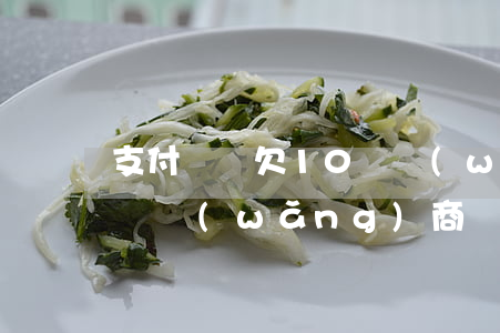 支付寶還欠10萬網(wǎng)商貸(支付寶網(wǎng)商貸五十萬還不起了)