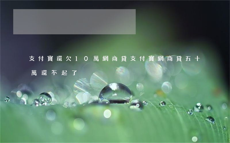 支付寶還欠10萬網商貸(支付寶網商貸五十萬還不起了)