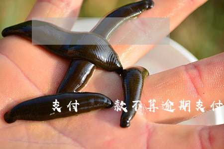 支付寶還款不算逾期 支付寶逾期后還款