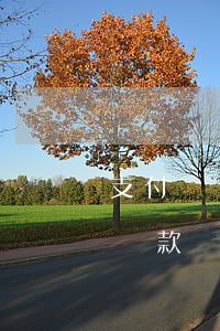 支付寶還款信用卡逾期一天(支付寶逾期兩天還款)