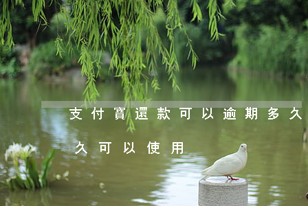 支付寶還款可以逾期多久(支付寶逾期還了多久可以使用)