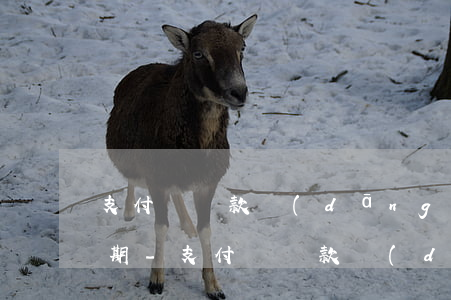 支付寶還款當(dāng)天還怎么還算逾期-支付寶還款當(dāng)天還怎么還算逾期呢