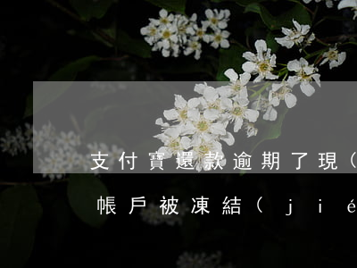 支付寶還款逾期了,現(xiàn)在顯示本帳戶被凍結(jié)（支付寶逾期說要凍結(jié)我身份證）