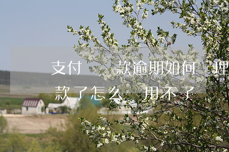 支付寶還款逾期如何處理(支付寶逾期了還完款了 怎么還用不了)