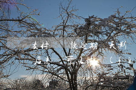 支付寶還款逾期幾天影響征信嗎-逾期還清后怎樣可以恢復(fù)信用
